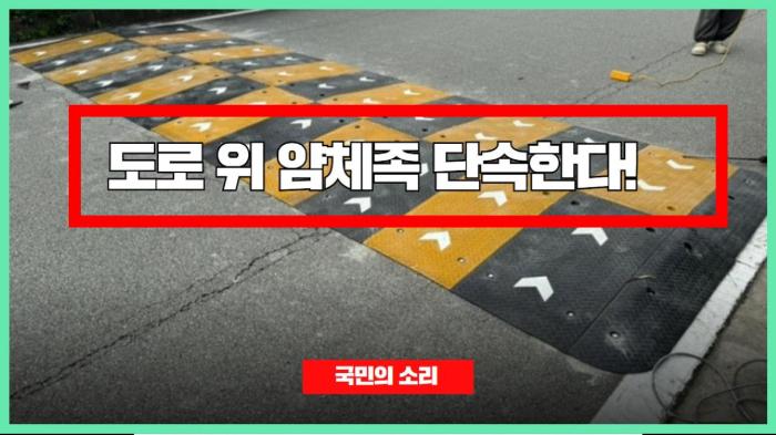 도로 위 얌체족 단속한다!   경기포털 국민의소리 기사 이미지