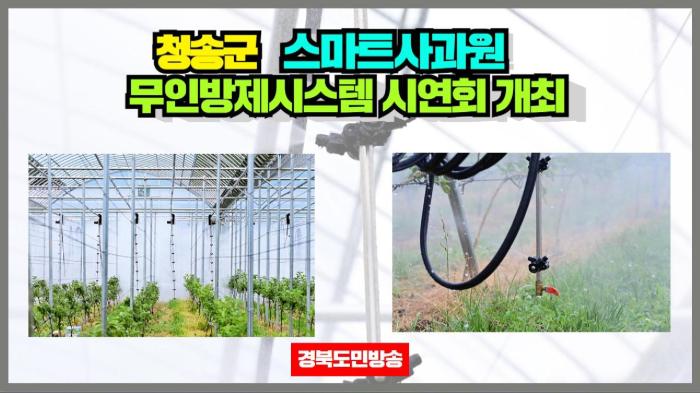 청송군청 윤경희군수 스마트사과원 무인방제시스템 시연회 개최 경북포털 국민의소리  기사 이미지