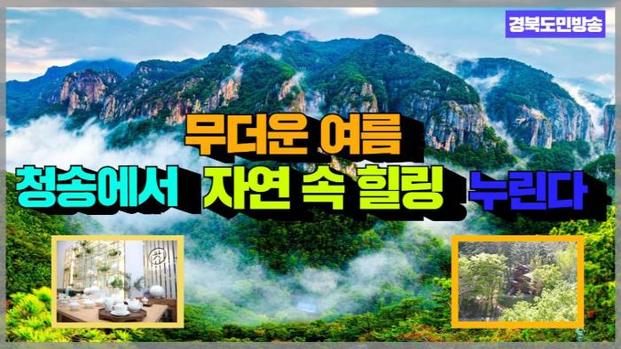 청송군청 윤경희군수 무더운 여름, 청송에서 ‘자연 속 힐링’ 누린다 경북포털 국민의소리 기사 이미지