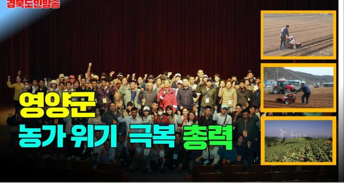영양군청 오도창군수 농가 위기 극복 총력  경북포털 국민의소리 기사 이미지
