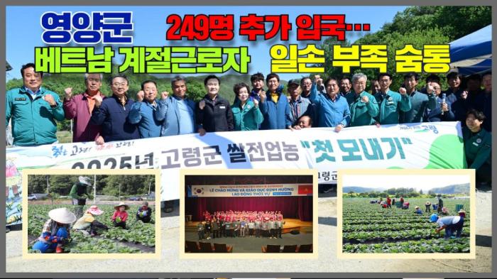 영양군청 오도창군수, 베트남 계절근로자 249명 추가 입국… 일손 부족 숨통 기사 이미지