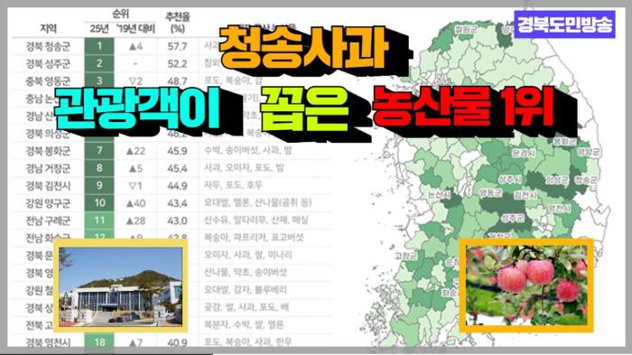 청송사과, 관광객이 꼽은 농산물 1위 경북포털 국민의소리 기사 이미지