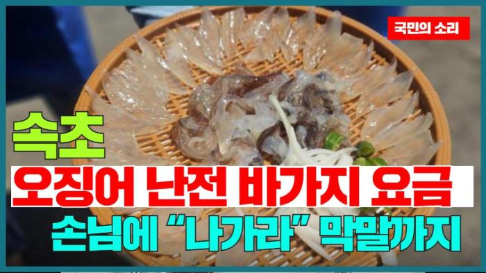 속초 ‘오징어 난전’ 바가지요금 논란…손님에 “나가라” 막말까지 기사 이미지