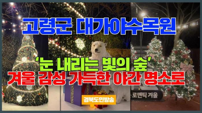 고령군청 이남철군수 대가야수목원 ‘눈 내리는 빛의 숲’…겨울 감성 가득한 야간 명소로 경북포털 국민의소리 기사 이미지