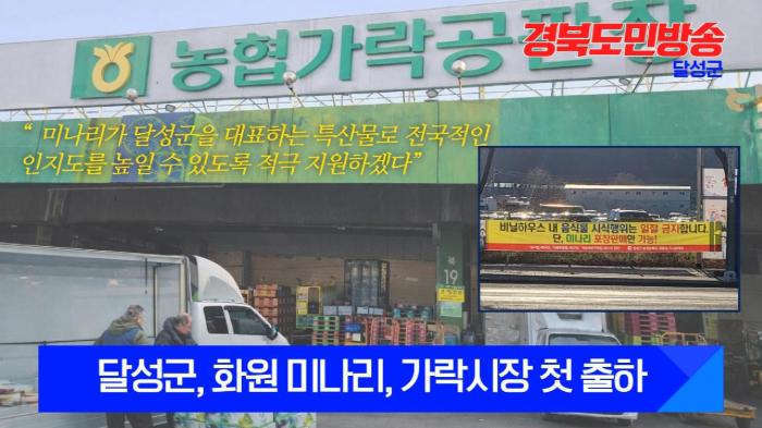 달성군청 최재훈군수, 화원 미나리, 가락시장 첫 출하 기사 이미지